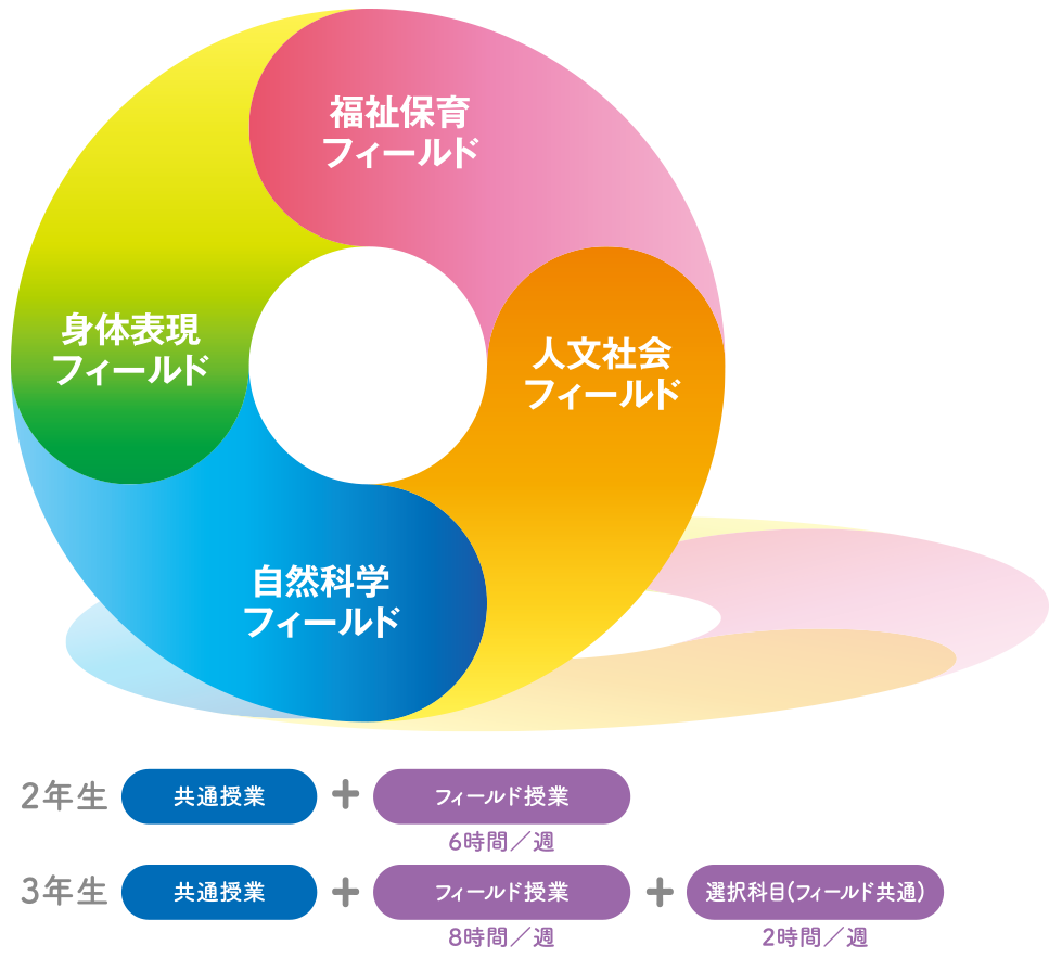 選択科目からフィールド別選択へ